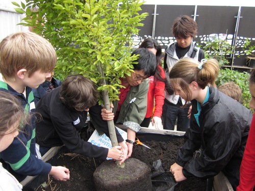 Tree Planting 1.JPG
